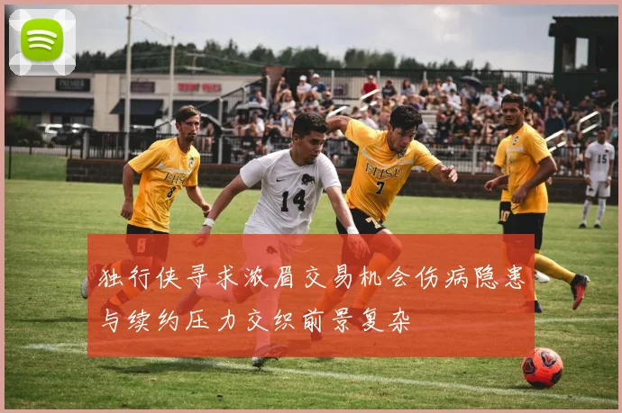 独行侠寻求浓眉交易机会伤病隐患与续约压力交织前景复杂