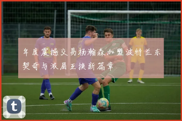 年度震撼交易杨瀚森加盟波特兰东契奇与浓眉互换新篇章