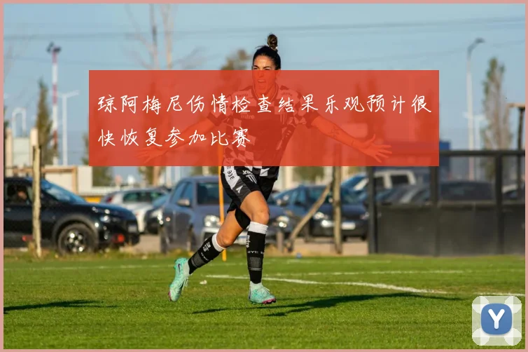 琼阿梅尼伤情检查结果乐观预计很快恢复参加比赛