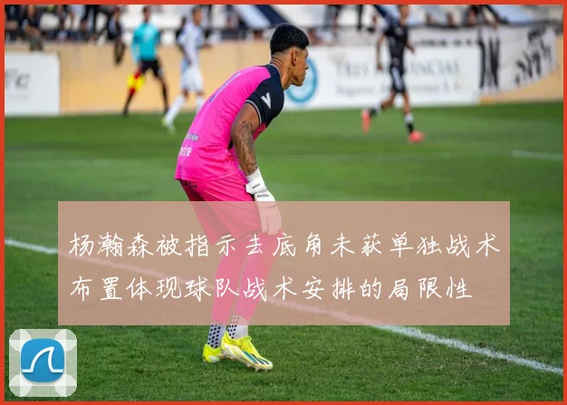 杨瀚森被指示去底角未获单独战术布置体现球队战术安排的局限性